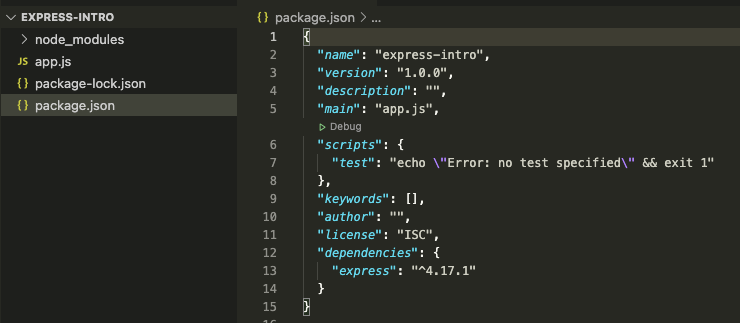 Basic Package JSON