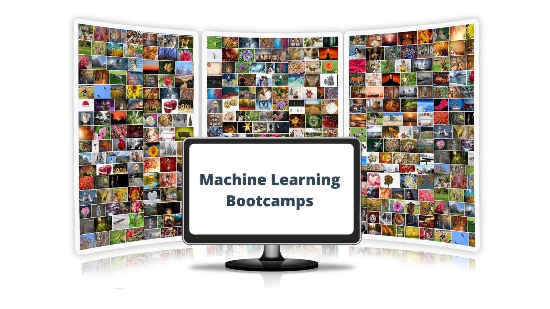 ml-bootcamps