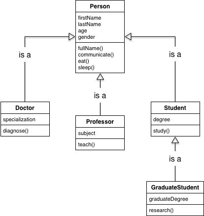 A Person class sits at the top of the "tree". A Doctor, a Professor, and a Student class sit below and all inherit from the Person class. A GraduateStudent class inherits from the Student class.