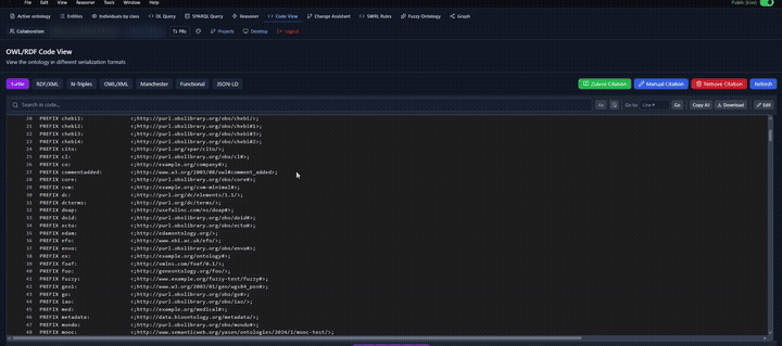 Code View editing an ontology across Turtle, RDF/XML, N-Triples, OWL/XML, Manchester, Functional, and JSON-LD
