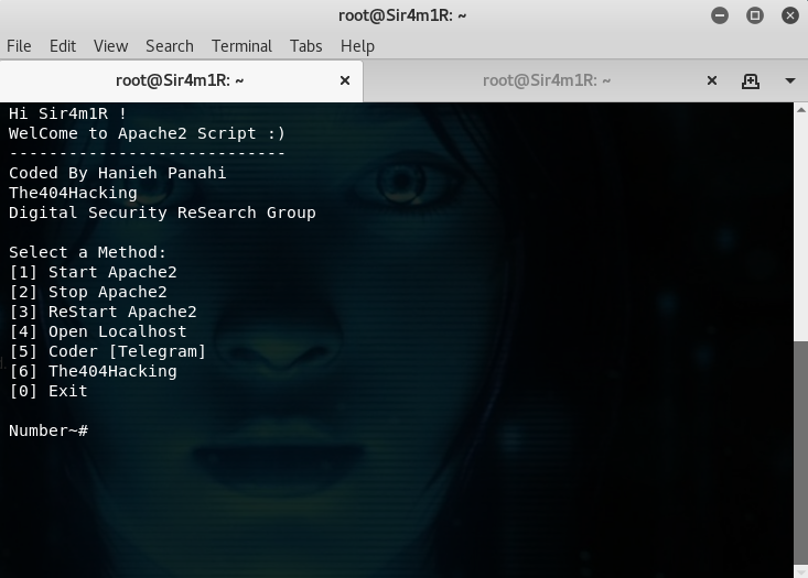 Apache2-Service-Screenshot