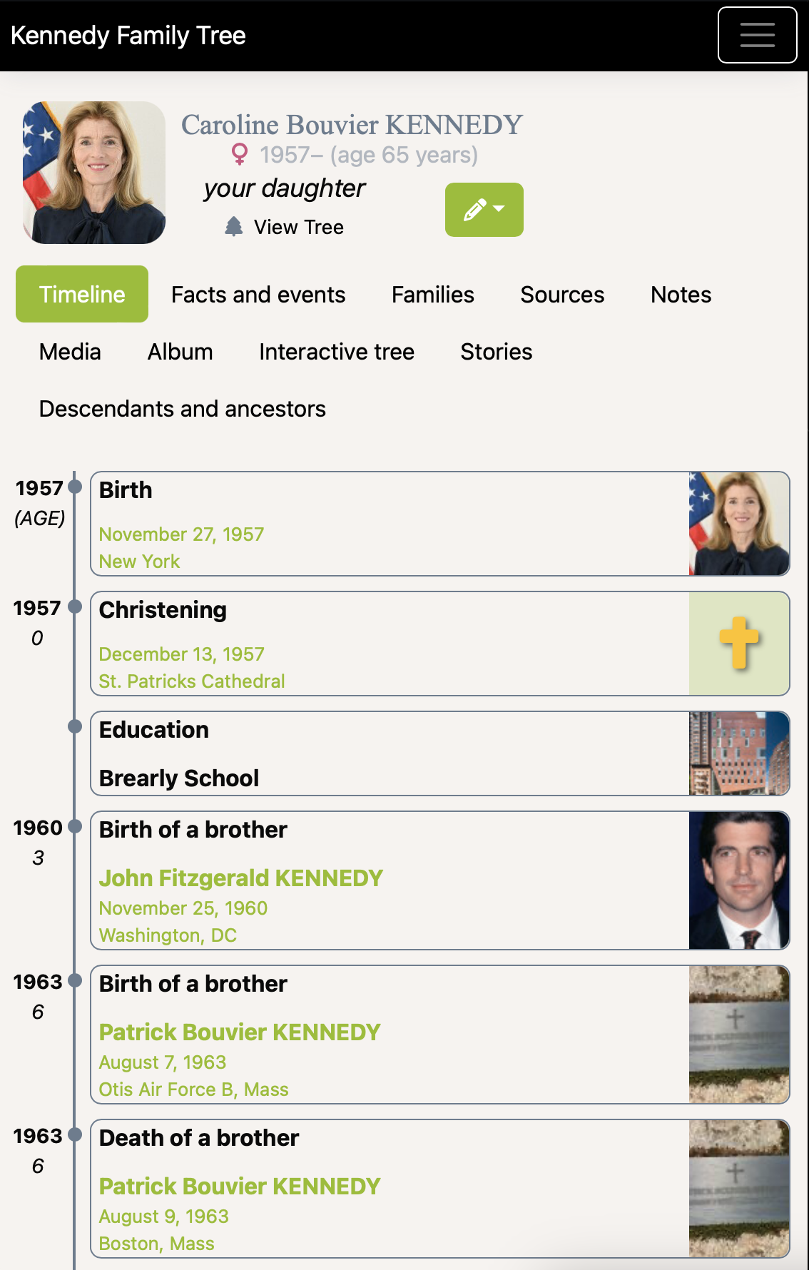 Modern theme with the Ancestry palette