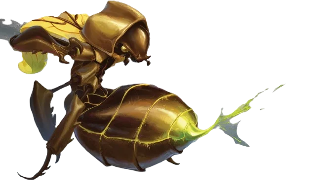 Female Kabuto Female Kabuto
