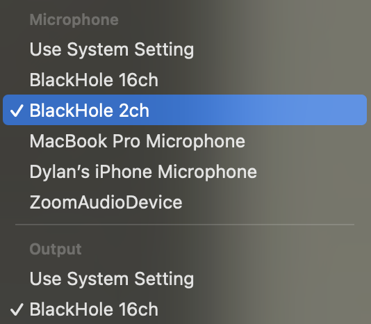 FaceTime Audio Setup
