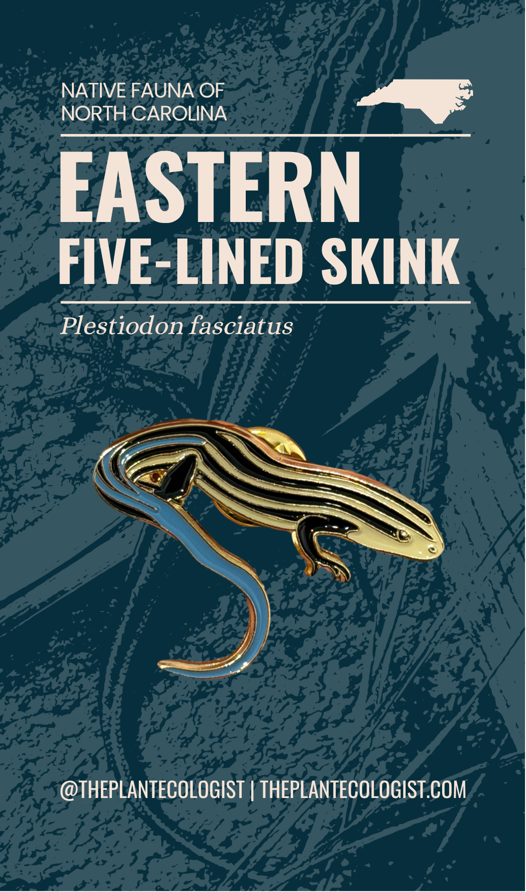 Eastern Five-Lined Skink enamel pin packaging card front, Plestiodon fasciatus, The Plant Ecologist