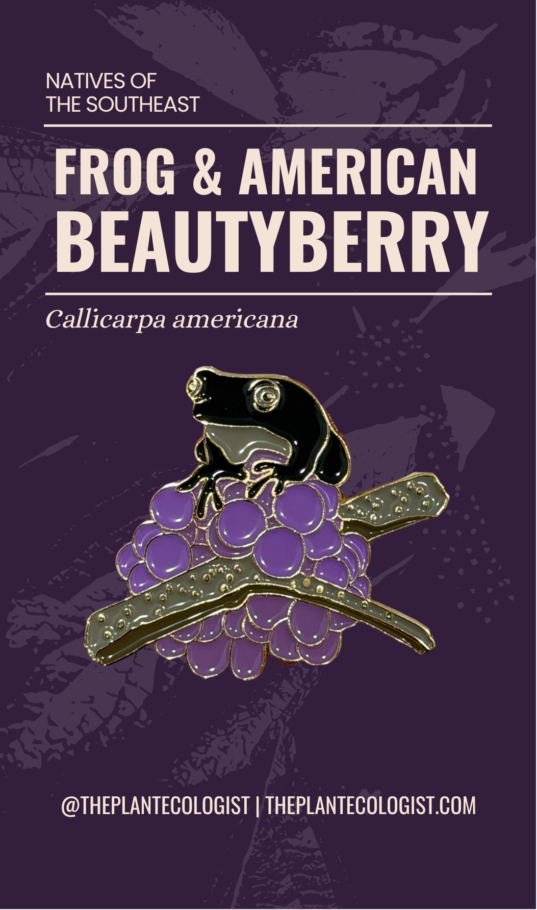 Frog and American Beautyberry enamel pin packaging card front, Callicarpa americana, The Plant Ecologist