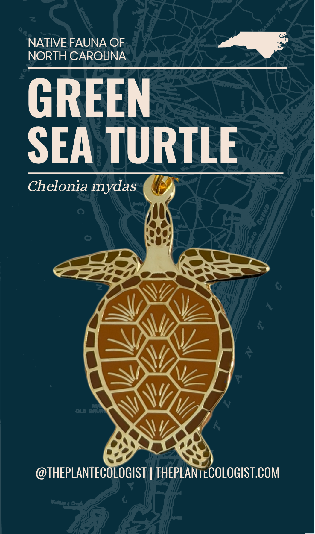 Green Sea Turtle enamel keychain packaging card front, Chelonia mydas, The Plant Ecologist