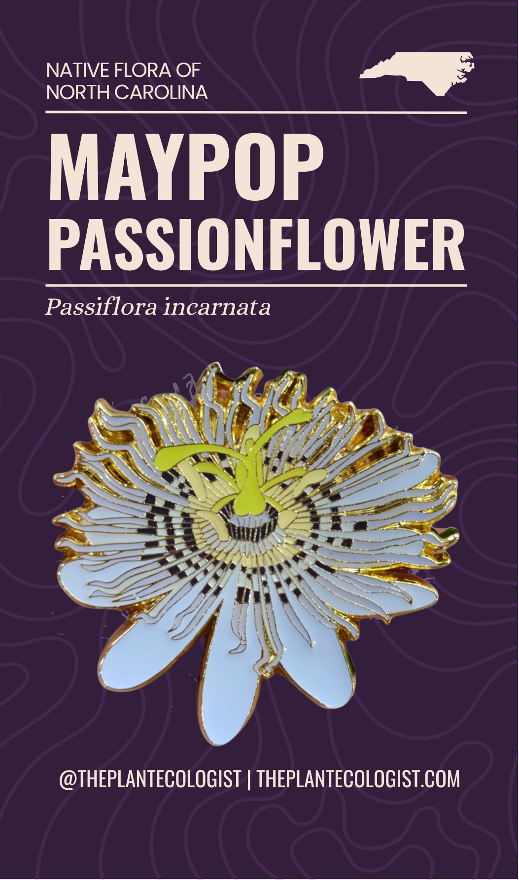 Maypop Passionflower enamel pin packaging card front, Passiflora incarnata, The Plant Ecologist