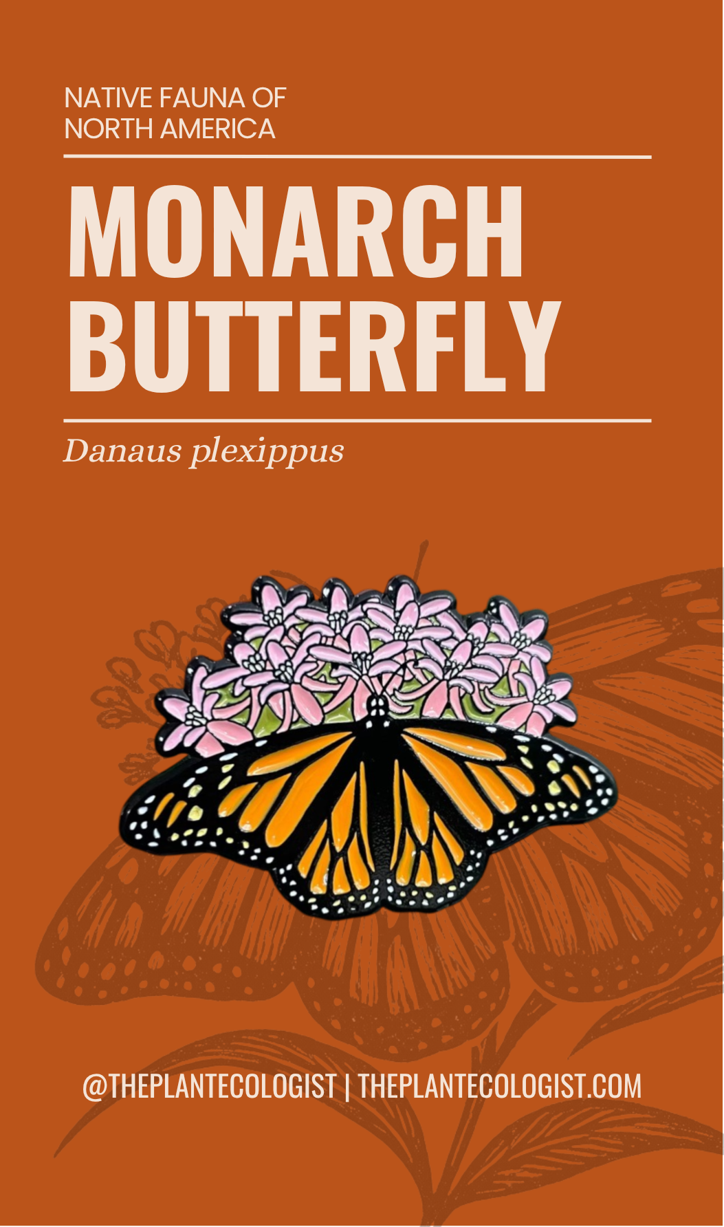 Monarch Butterfly and Milkweed enamel pin packaging card front, Danaus plexippus, The Plant Ecologist