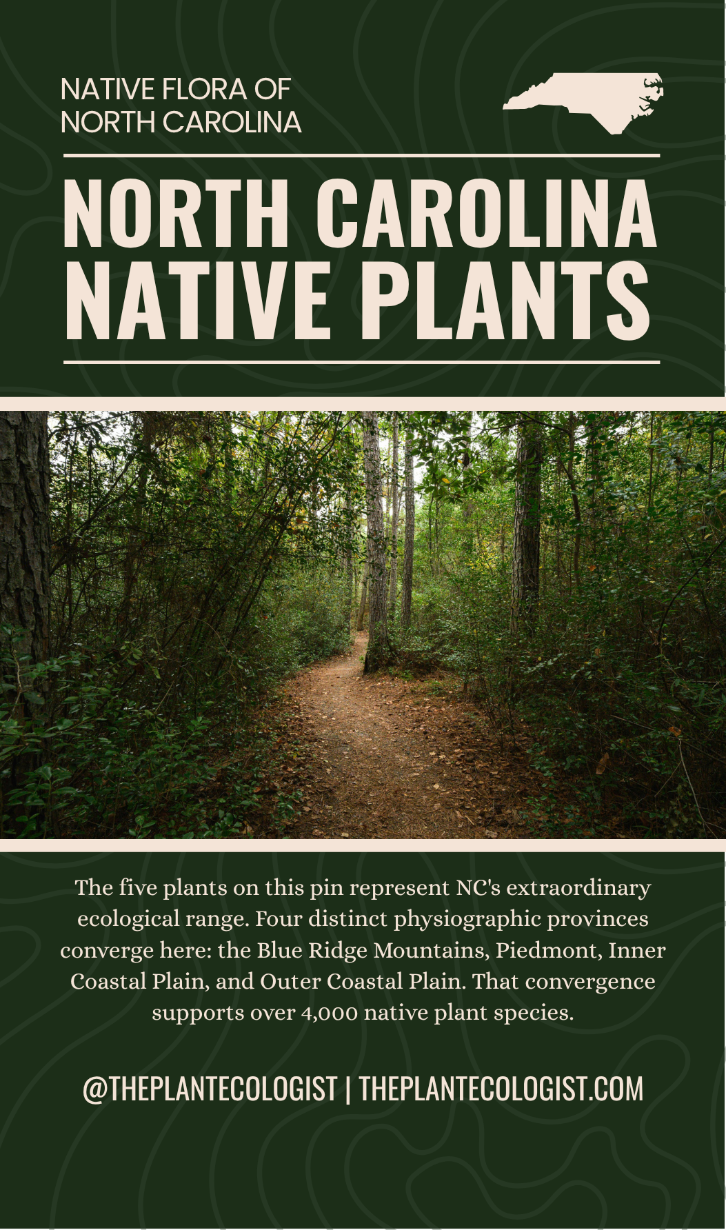 North Carolina Native Plants enamel pin packaging card back, The Plant Ecologist