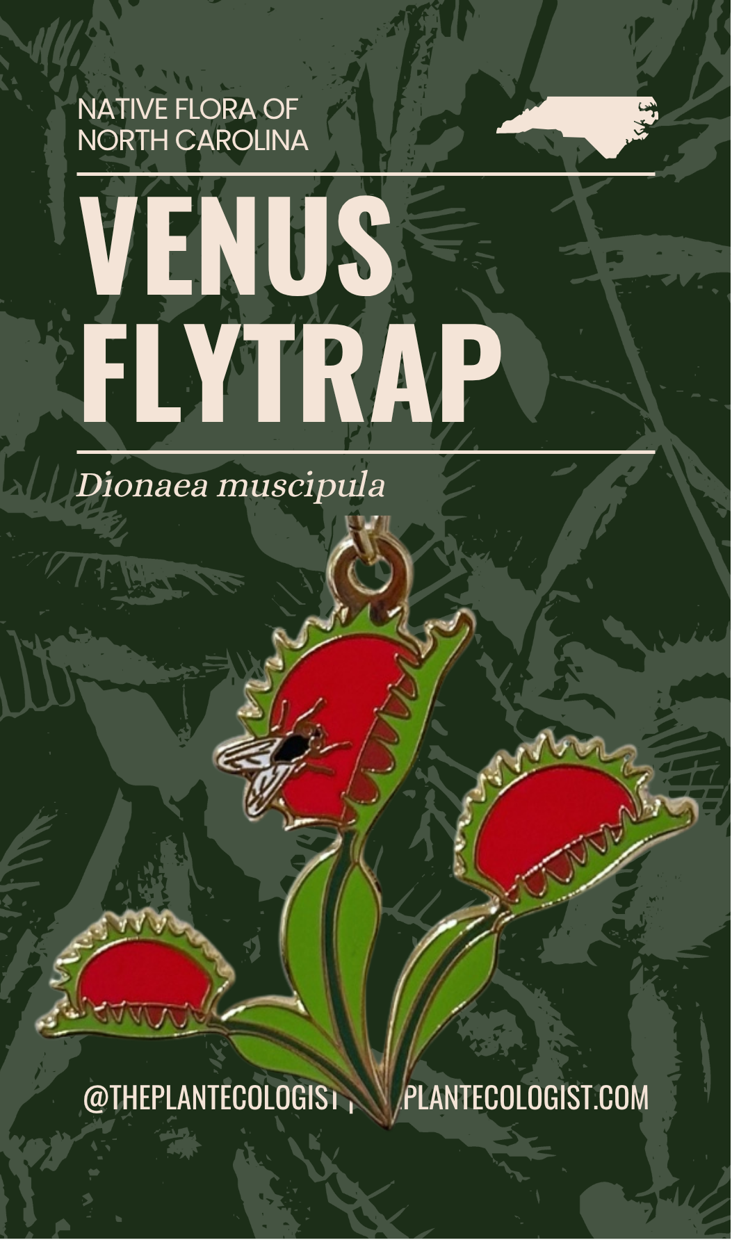 Venus Flytrap enamel keychain on new packaging card, Dionaea muscipula, The Plant Ecologist
