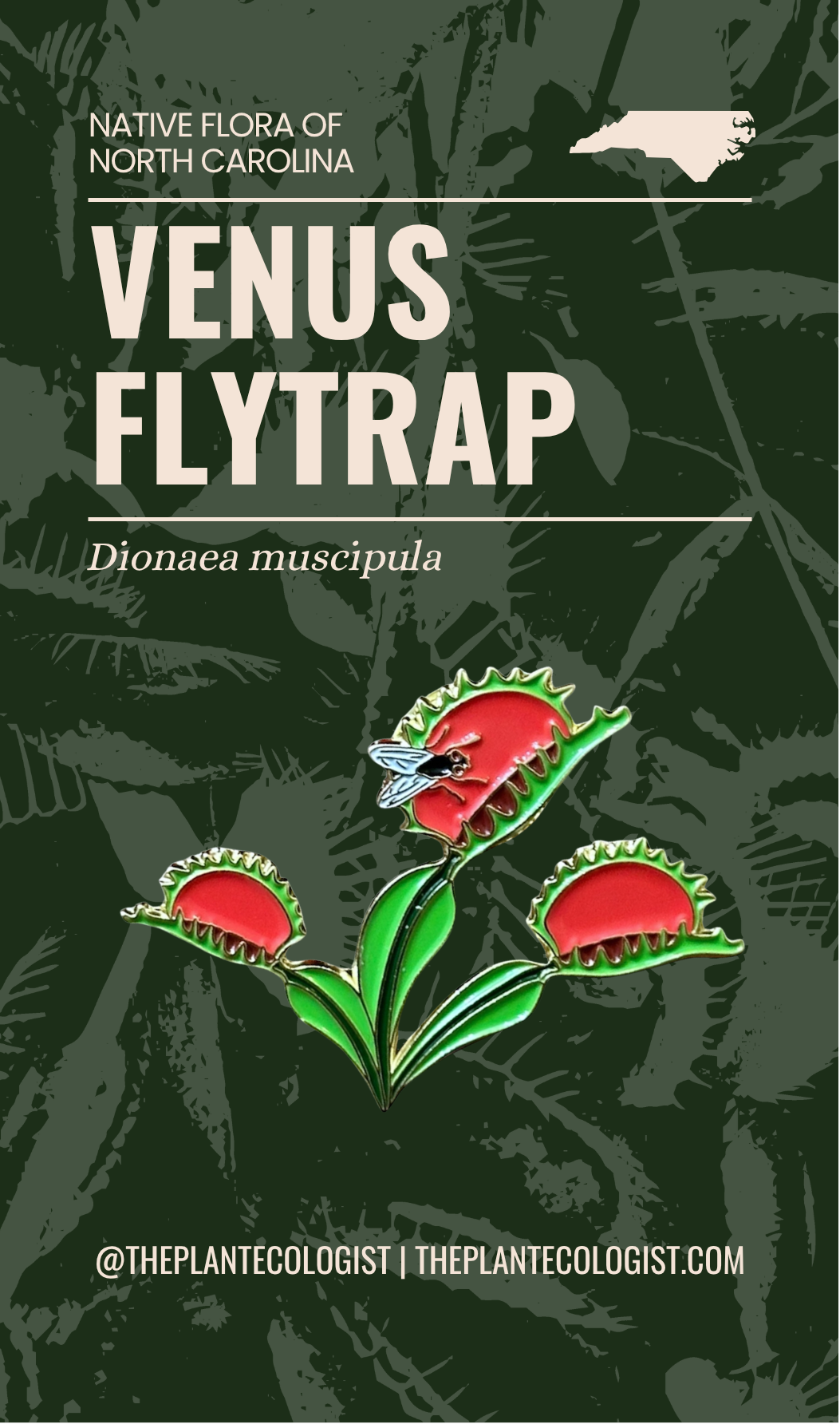 Venus Flytrap enamel pin packaging card front, The Plant Ecologist