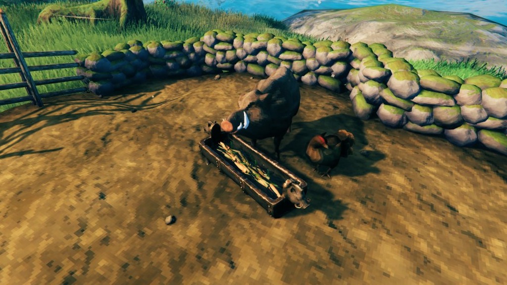 Tamed boars eating carrots from Gullinbursti's Trough