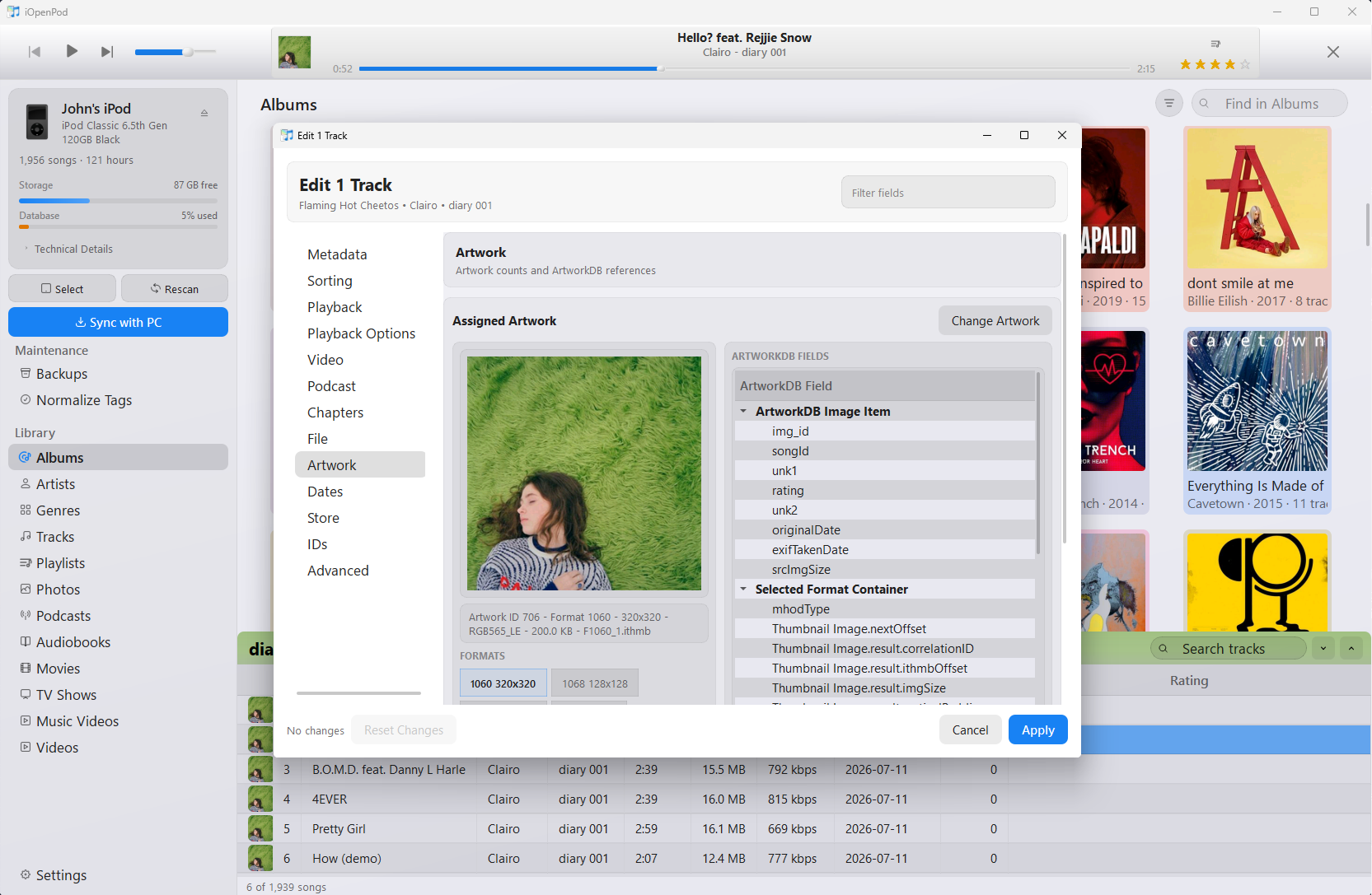 iOpenPod track editor showing assigned artwork, thumbnail formats, and ArtworkDB fields