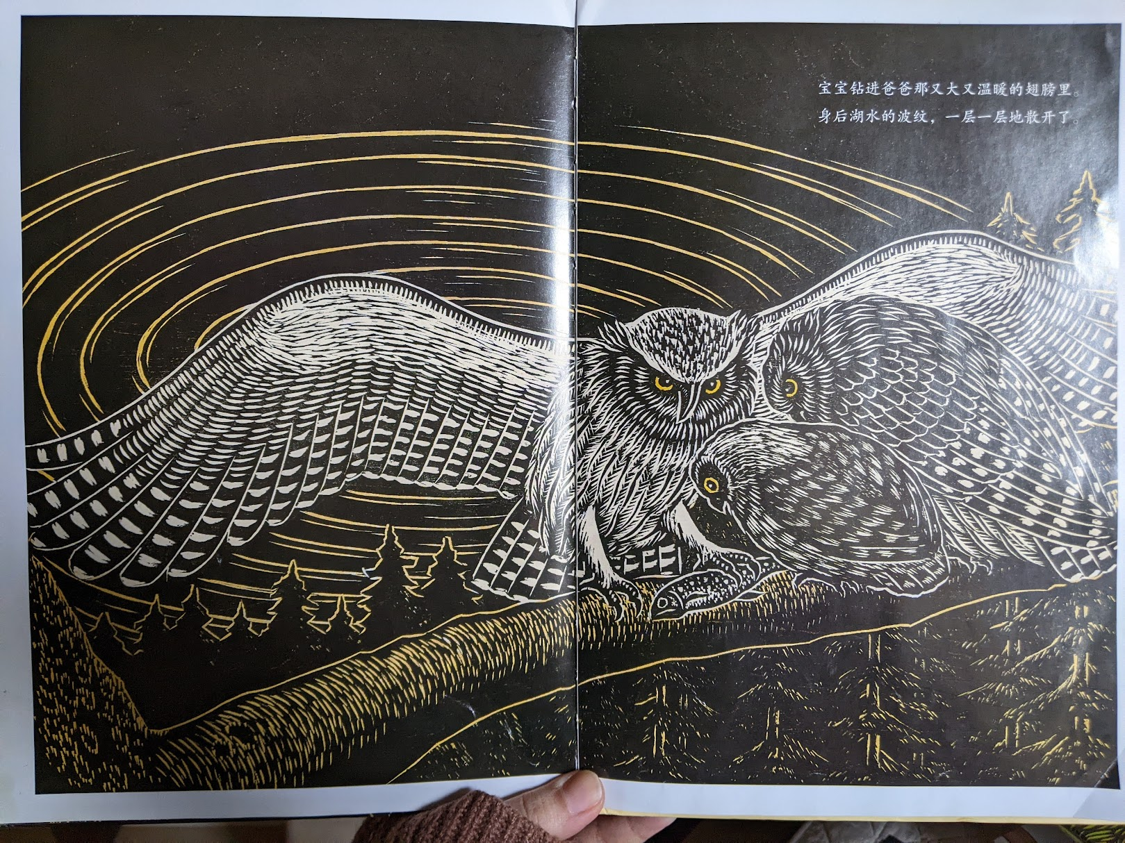 fish owl in japan