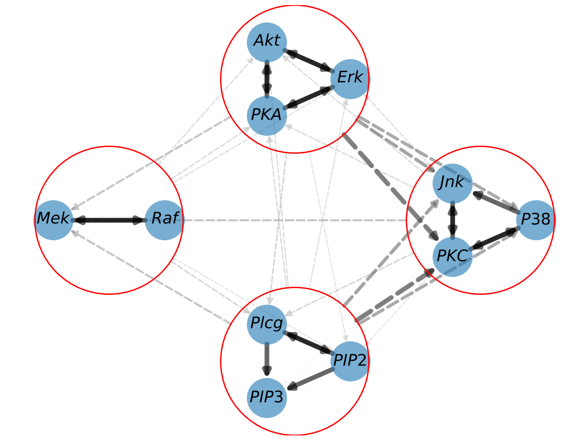 Resulting graph Sachs example