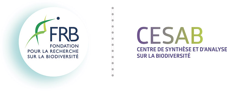 CESAB logo