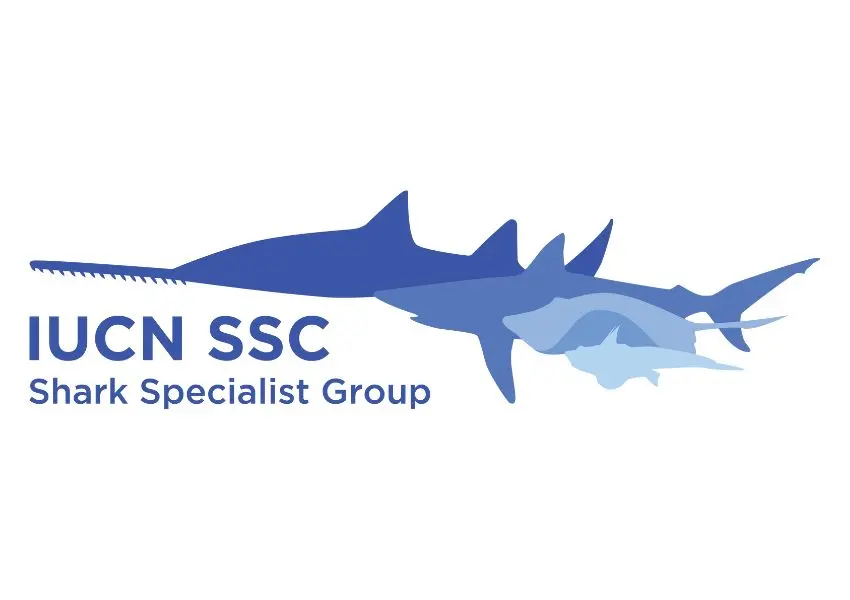 SSG logo