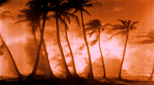 pictoral representation of the state of the repository at any given moment depicting palm trees engulfed in flames due to nearby nuclear testing