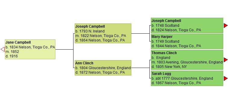 Diagram of Jane's family tree