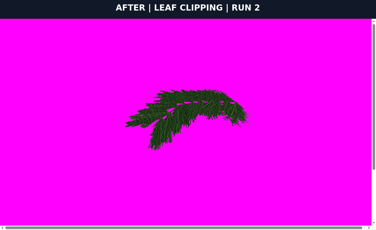 AFTER leaf clipping run 2