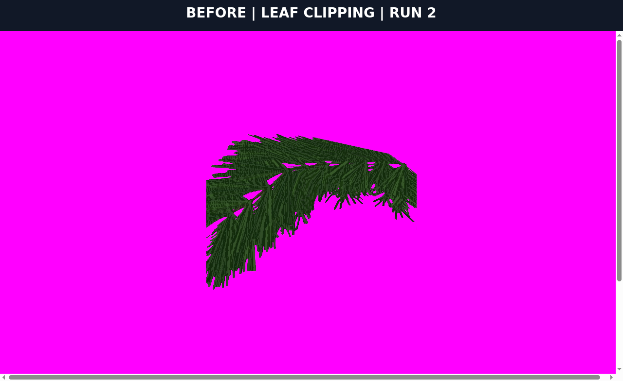 BEFORE leaf clipping run 2