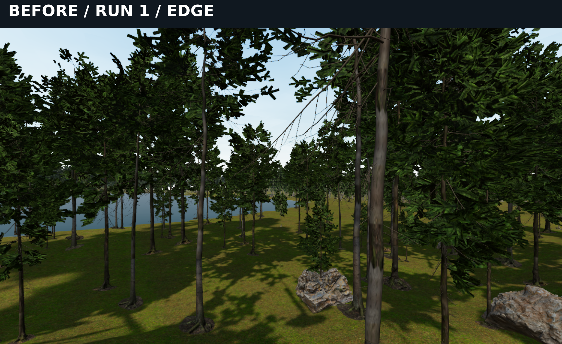 BEFORE run 1 edge