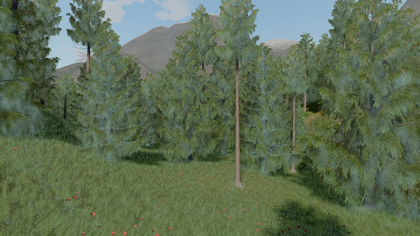 Meadow