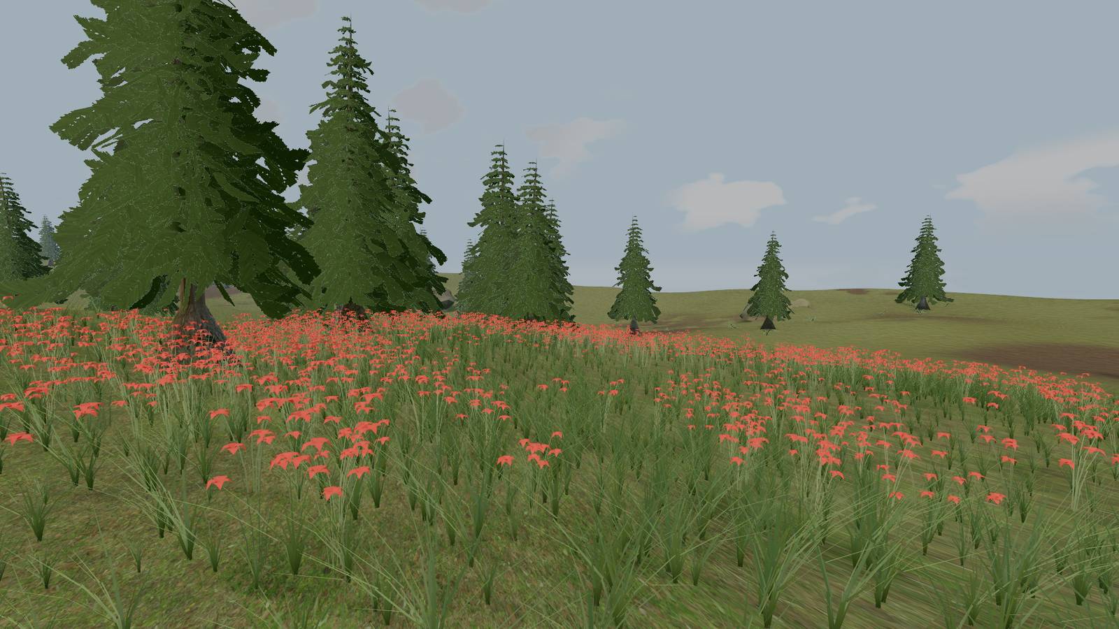 Meadow