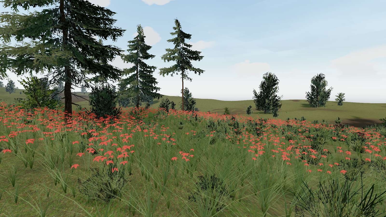 Meadow