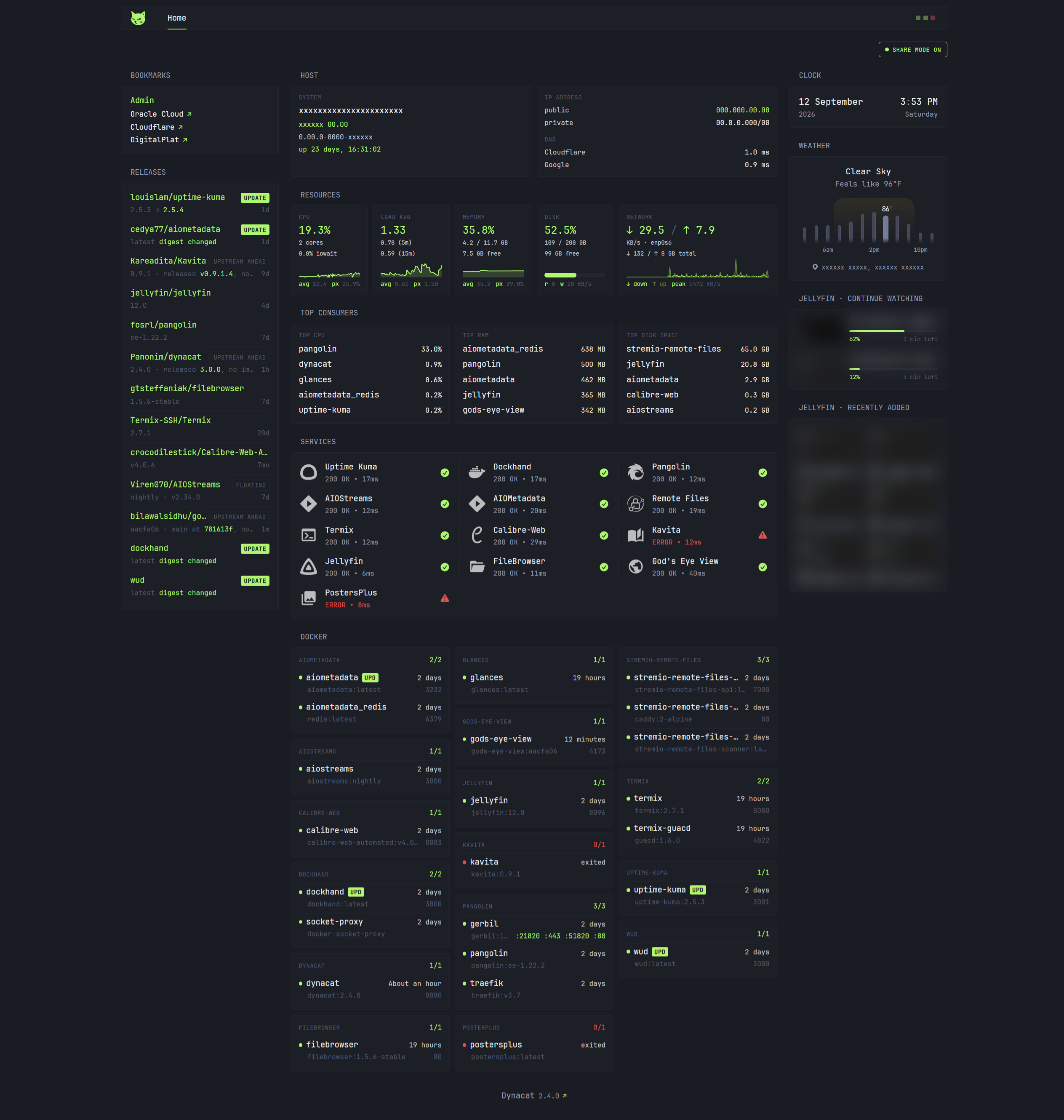 Dynacat dashboard showing host metrics, resource sparklines, top consumers, service uptime and per-project Docker stacks