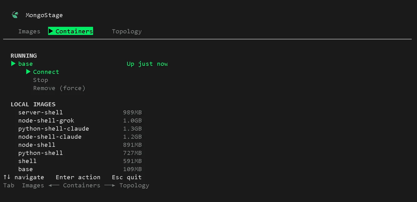 MongoStage Containers page