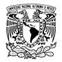 94-unam.webp