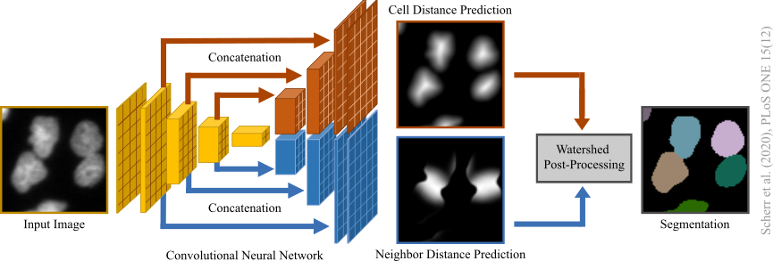 Segmentation Overview Image