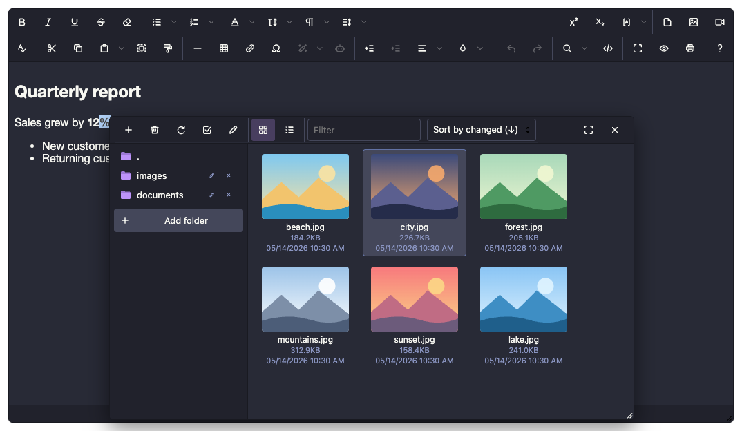 dracula: file browser over the editor