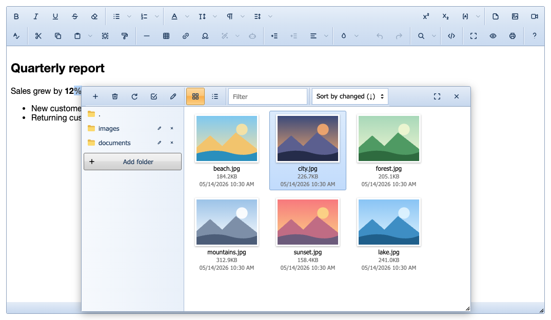 office2010: file browser over the editor