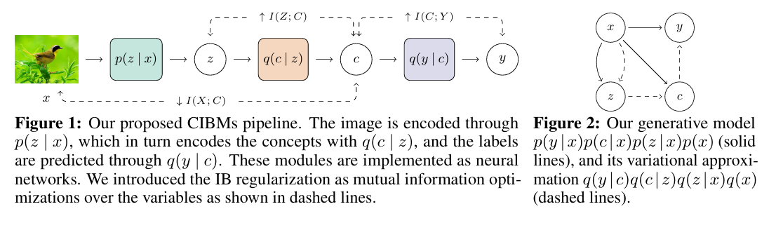 图 1:CIBM 管道与三个互信息项(论文 Figure 1)