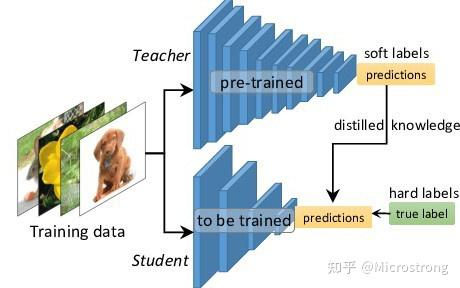 知识蒸馏的教师-学生结构