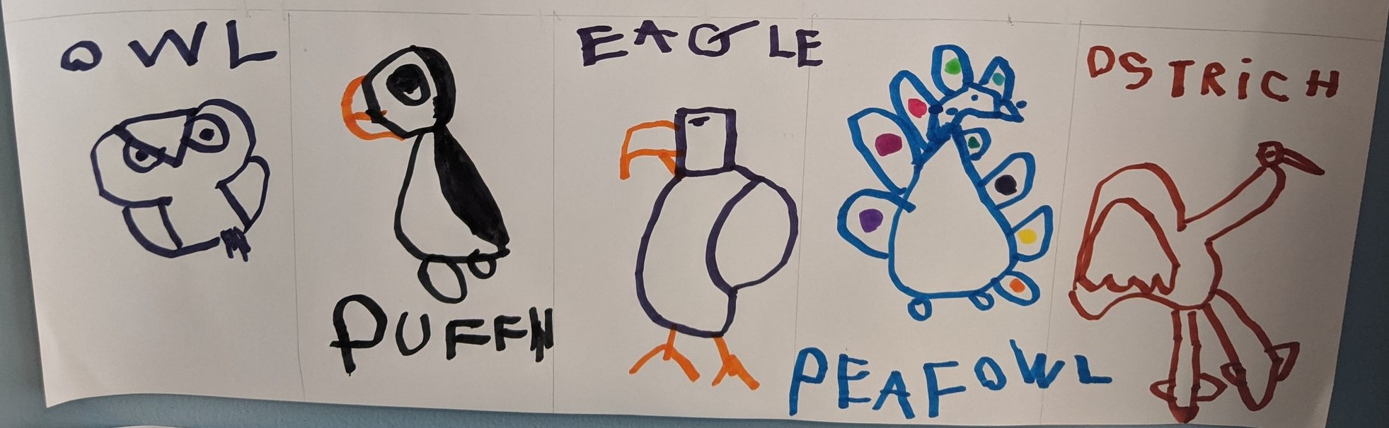 Bird drawings by a four year old