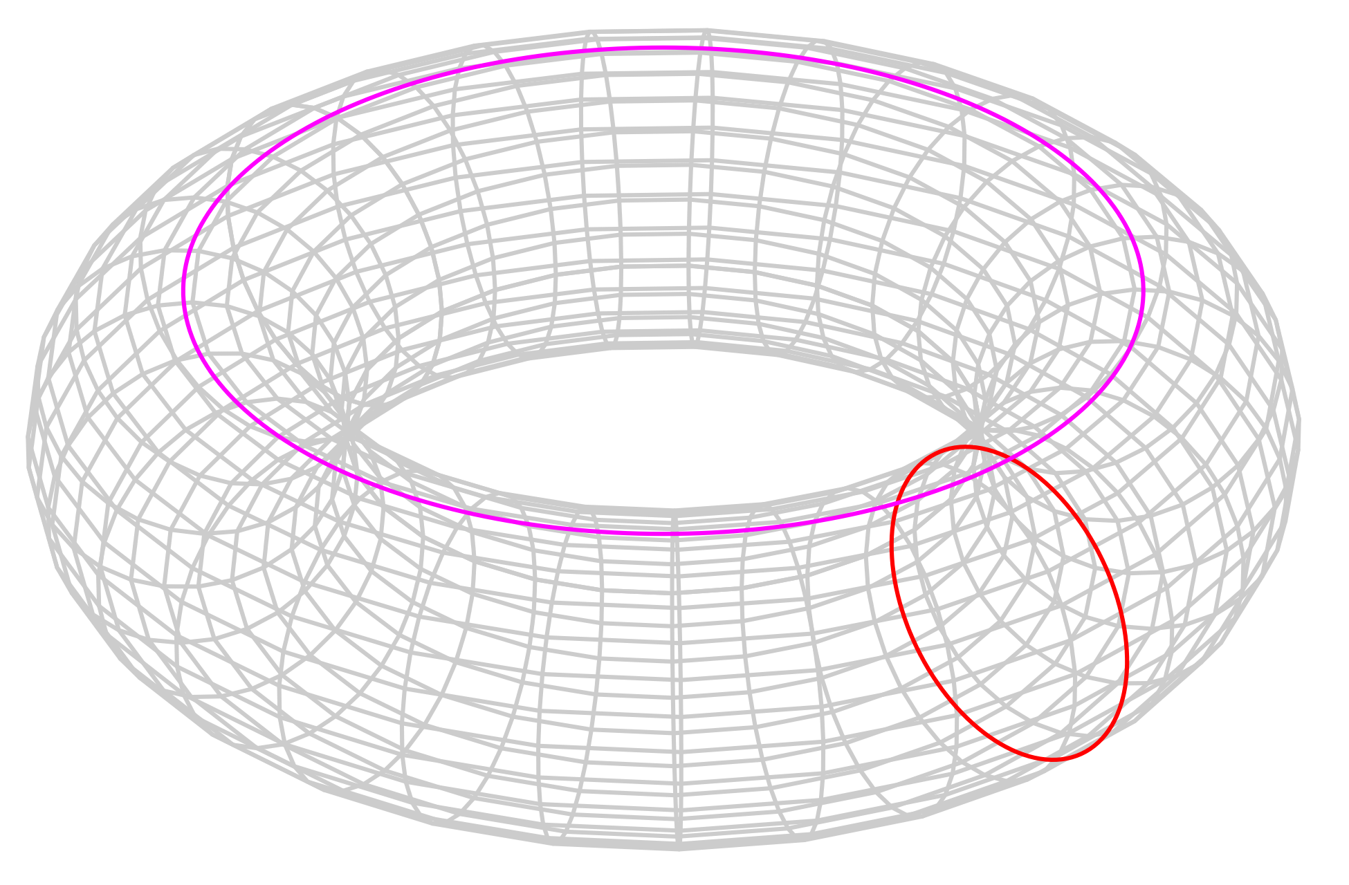 image of a torus