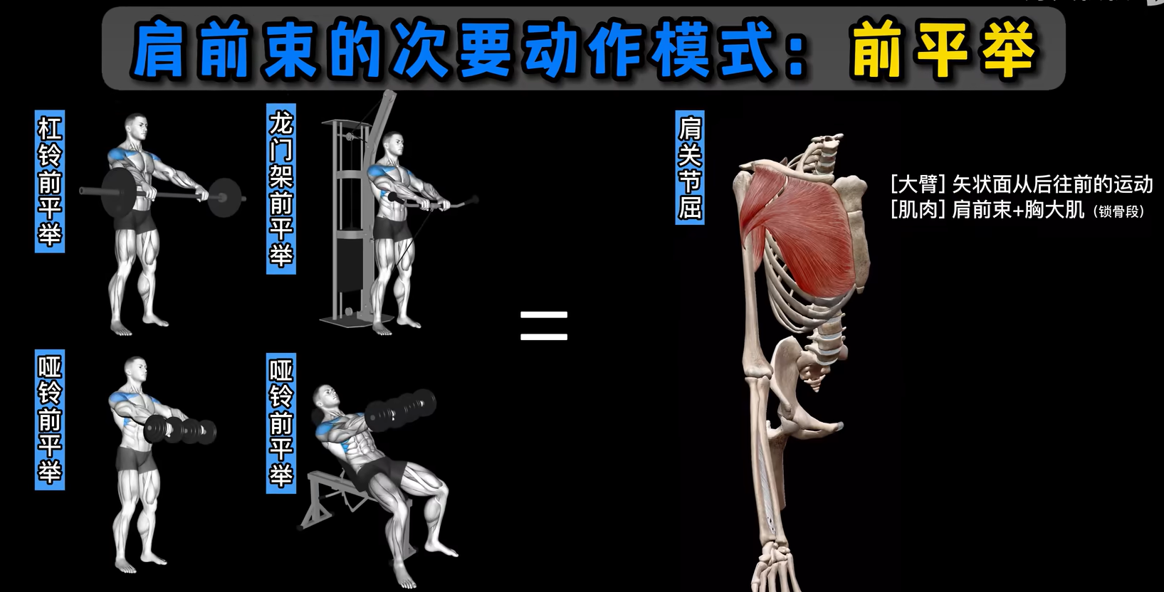 【三分化2.0版 】 1小时胸部&肱三头增肌训练 系统健身 器械极简 适合学生党 - 哔哩哔哩