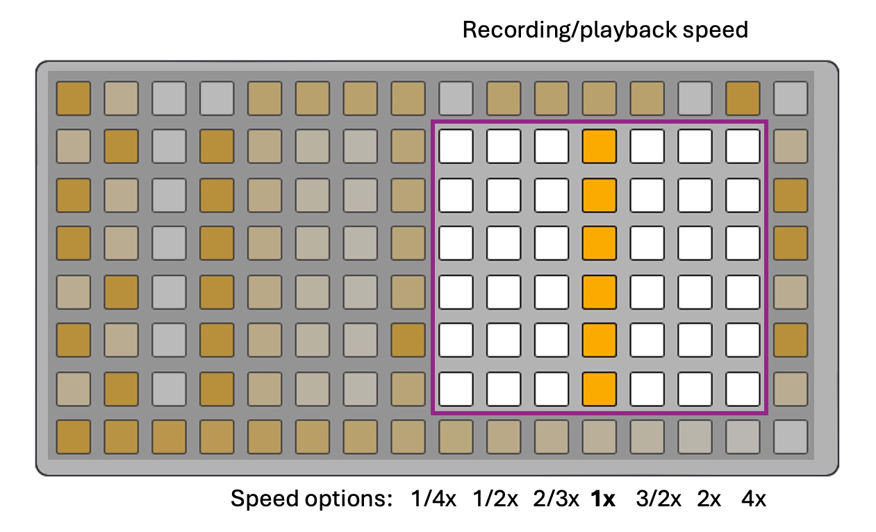 REC speed