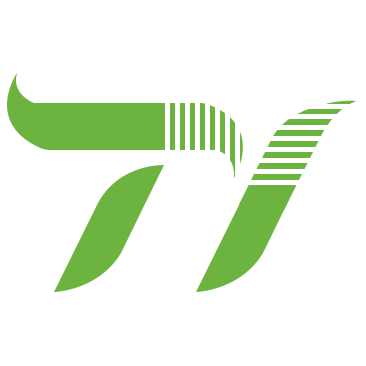 TyFast LOGO