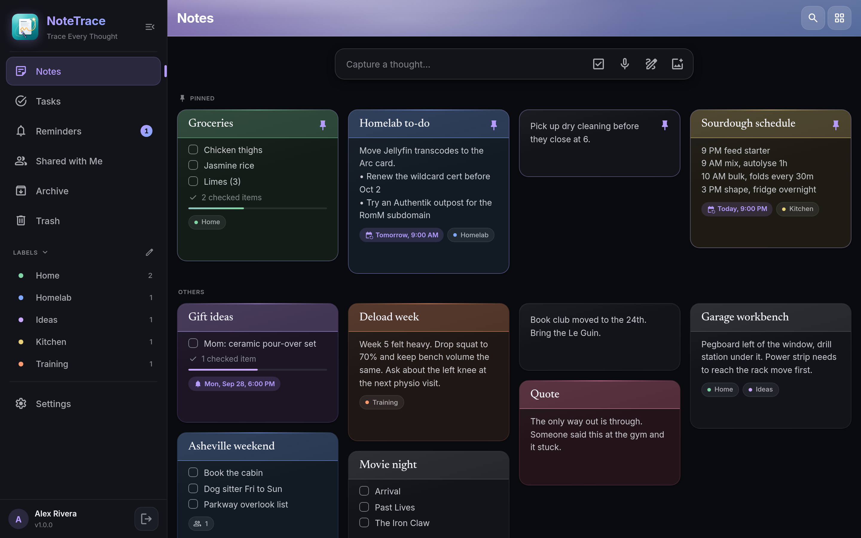 NoteTrace notes grid: pinned notes and checklists with reminders and labels, the sidebar with labels, and the Capture a thought bar