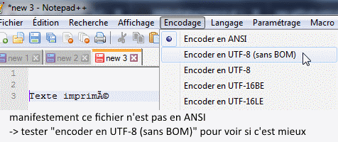 Notepad++ - Menu Encodage