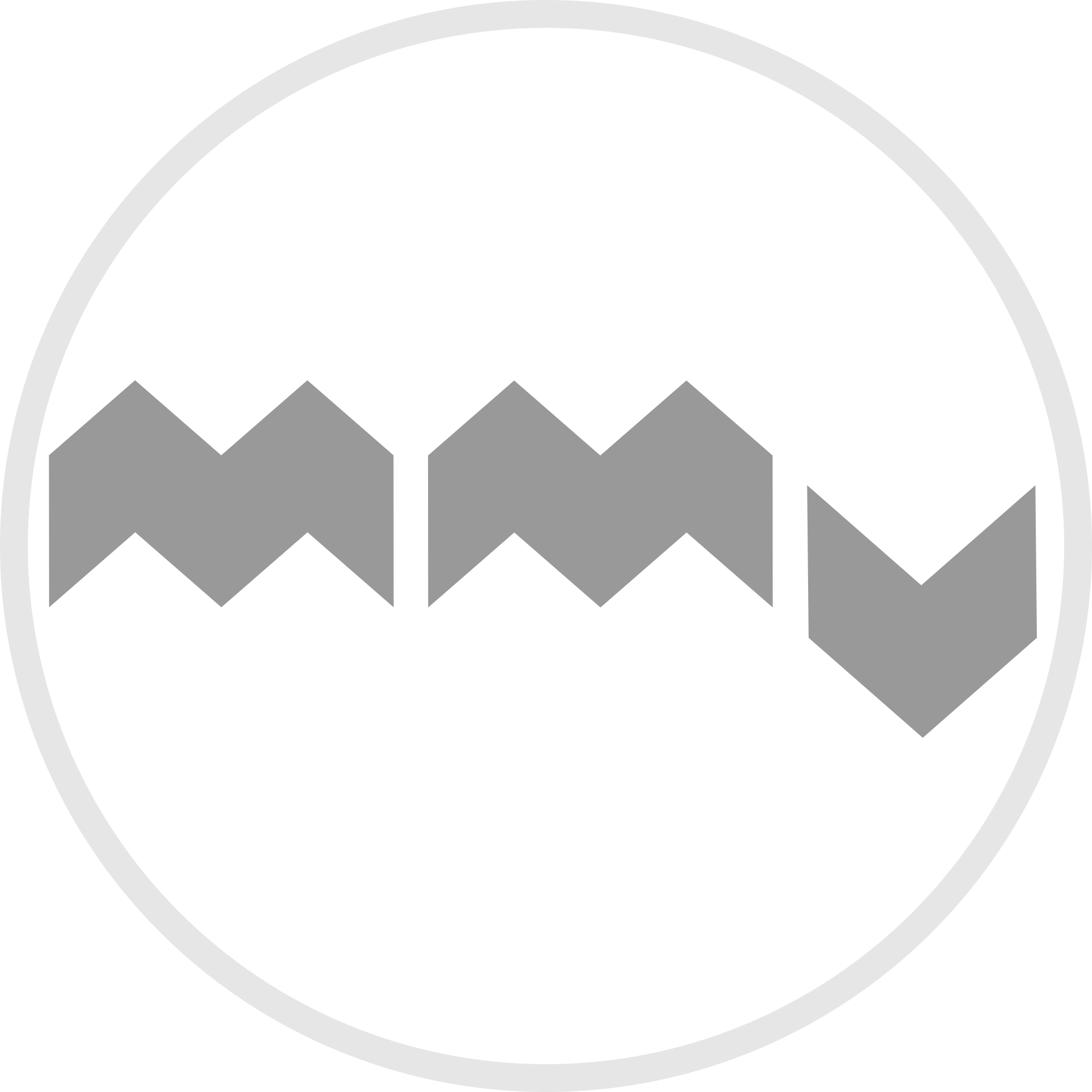 Modular Music Visualizer Project Logo