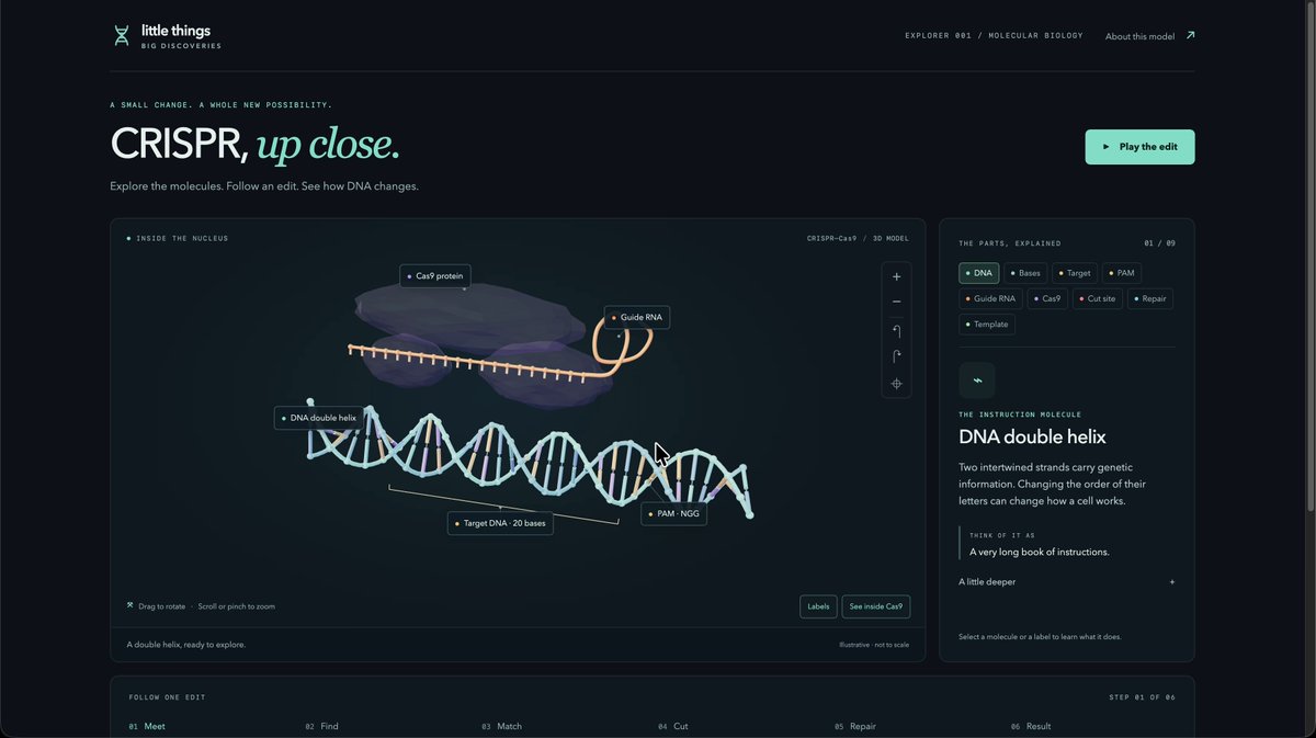 Interactive educational 3D CRISPR representation