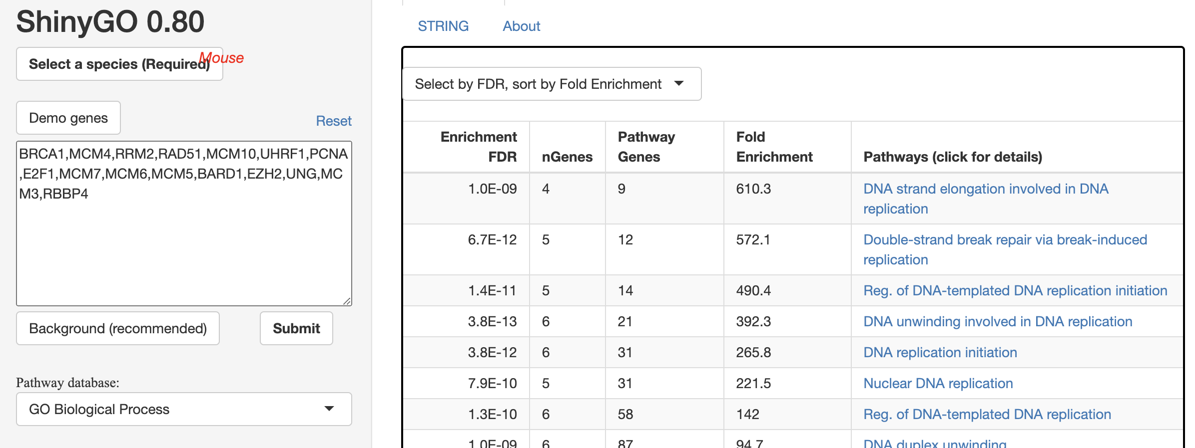 Go Enrichment analysis on one cluster