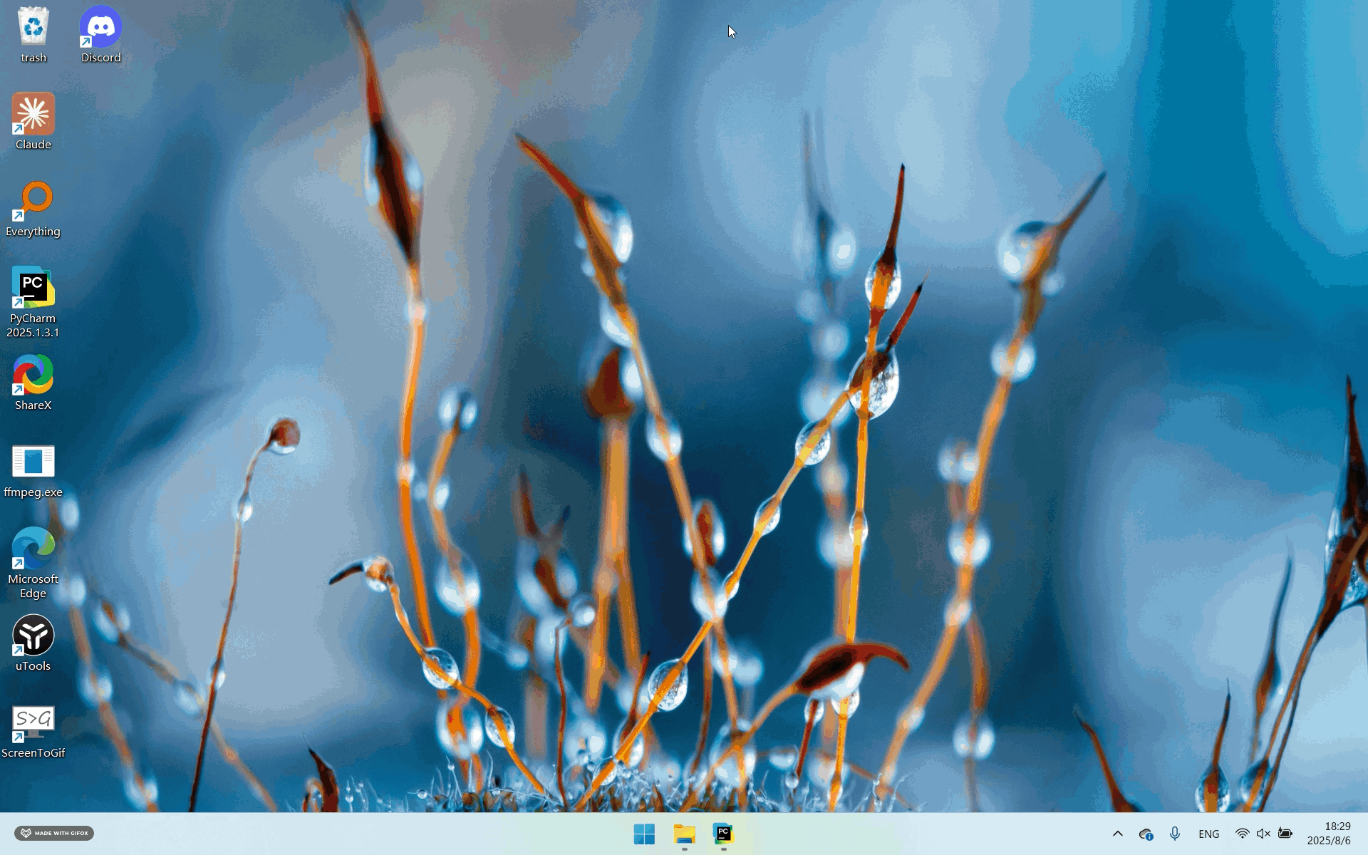TuriX Windows demo - video search and sharing