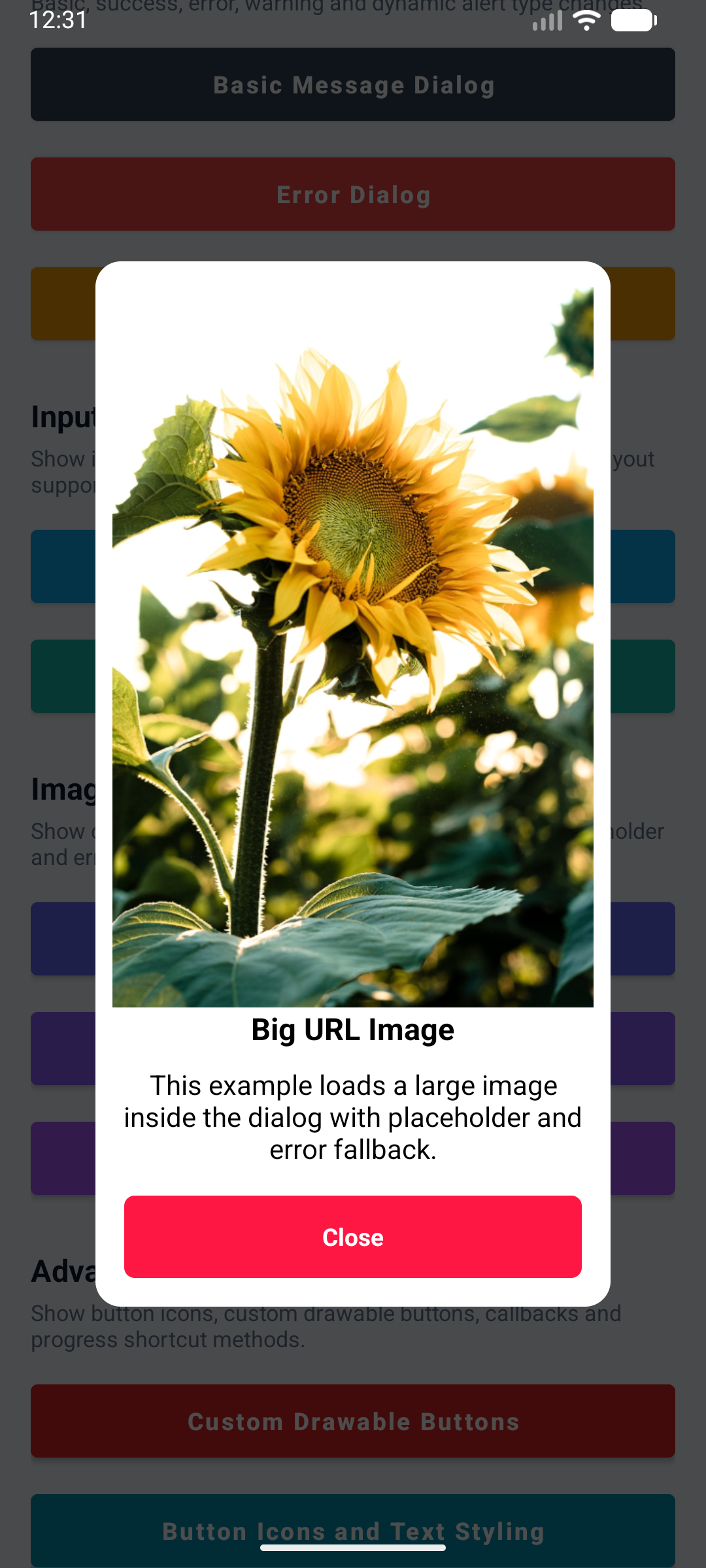 KAlert Dialog Big URL Image Dialog